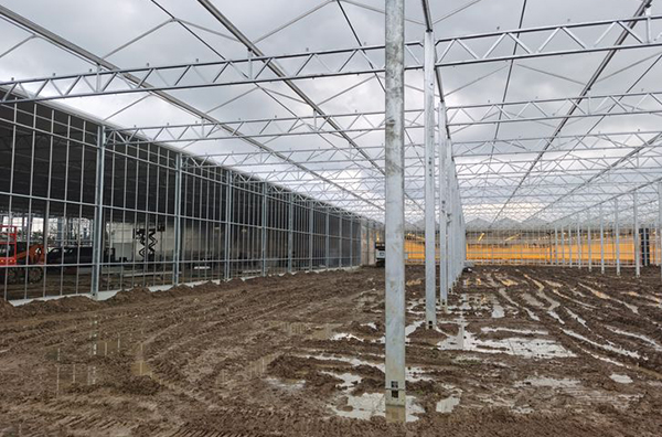 Flower greenhouse in Canada