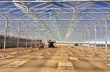 Vegetable greenhouse in Connecticut