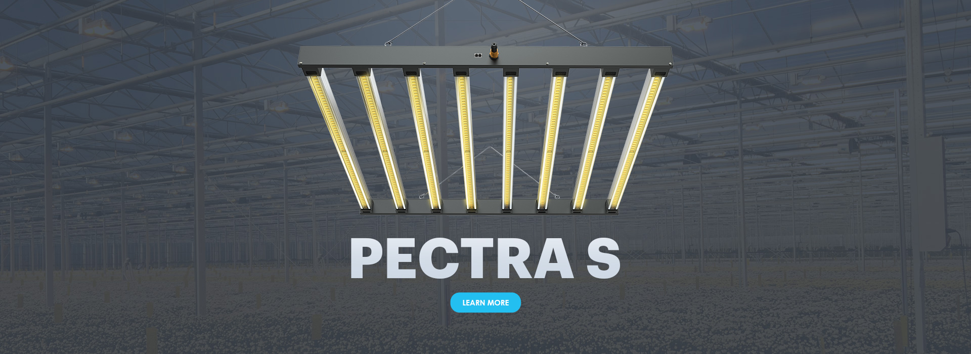 pectars